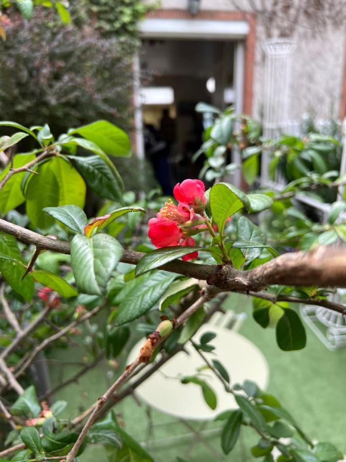 쉴리-쉬르-르와르 Maison De La Huardiere 빌라 외부 사진